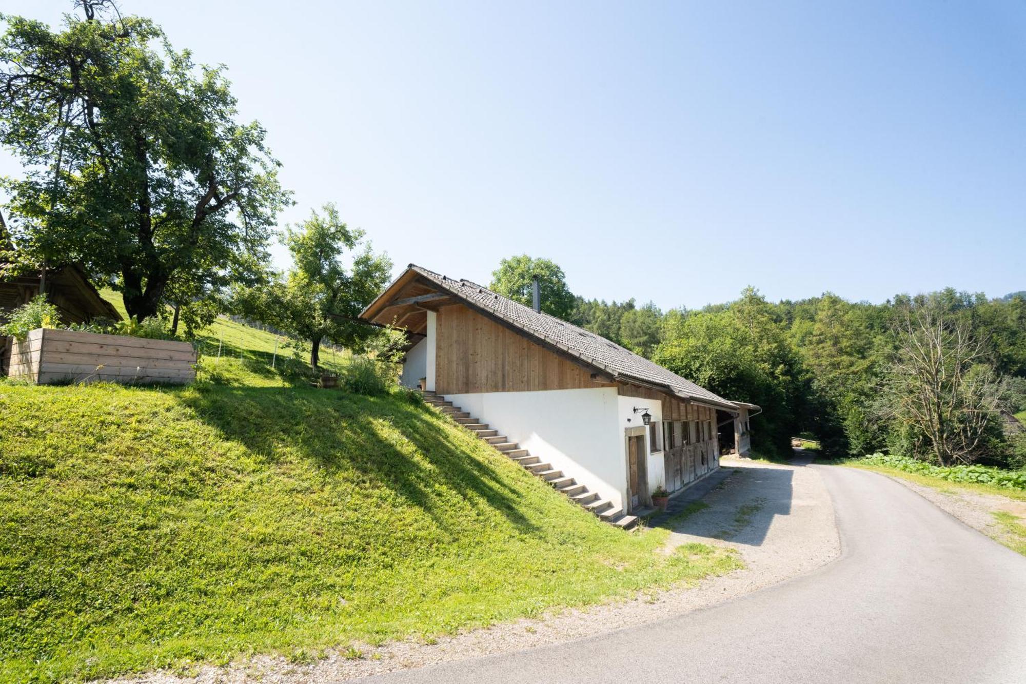 Horse Farm Holiday Pr' Kolenc Zgornje Gorje Esterno foto